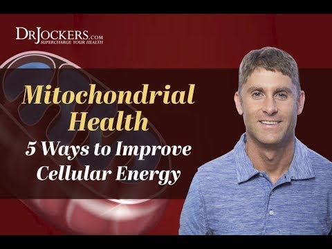 Mitochondrial Health:  5 Ways to Improve Cellular Energy