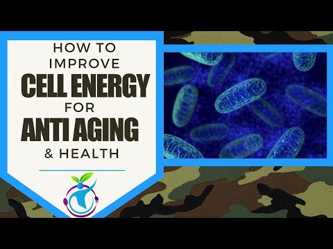 How to Improve Cellular Energy (Mitochondrial Function) for Anti Aging & Health