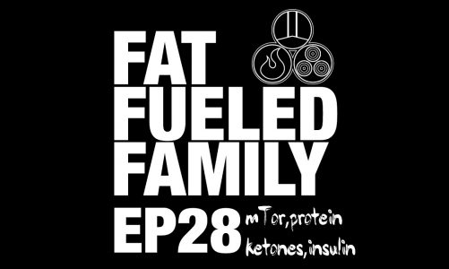 Episode 28 – mTor, Protein, Ketones, & Insulin w/ Dr. Bikman