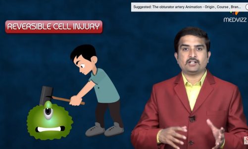 Reversible cell injury –  General Pathology Animated USMLE Lecture – Dr Bhanu prakash