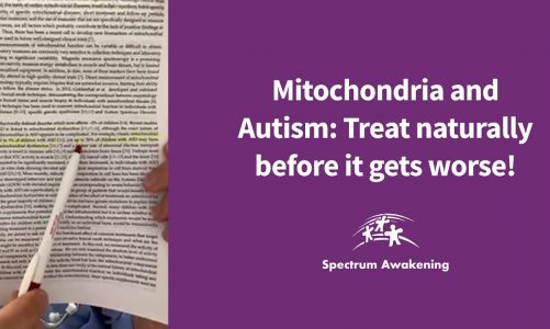 Mitochondria and Autism: Treat naturally before it gets worse!