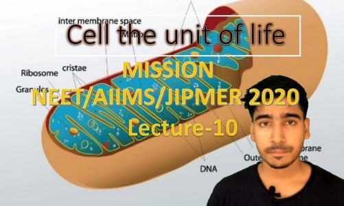 NEET/AIIMS/JIPMER MISSION 2020/ Cell the unit of life / Lecture-10