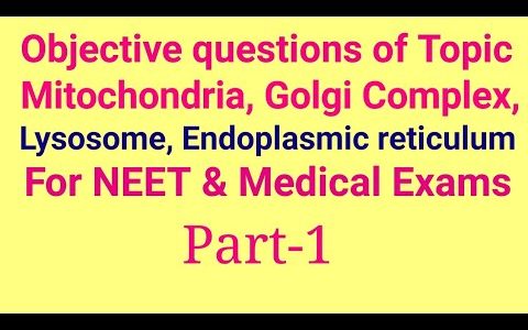 Objective questions of Topic Mitochondria, Golgi Complex, Lysosome, Endoplasmic reticulum for NEET