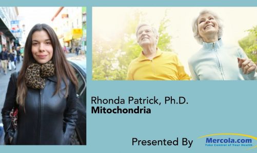 Dr. Mercola and Dr. Patrick Discuss Mitochondria