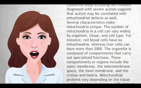 Mitochondrion – Wiki Videos
