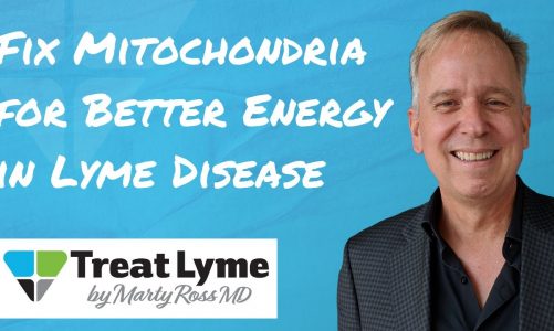 How to Fix Mitochondria to Improve Fatigue in Lyme Disease