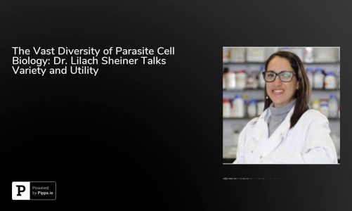 The Vast Diversity of Parasite Cell Biology: Dr. Lilach Sheiner Talks Variety and Utility