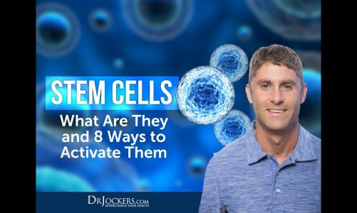 Stem Cells: What Are They and 8 Ways to Activate Them