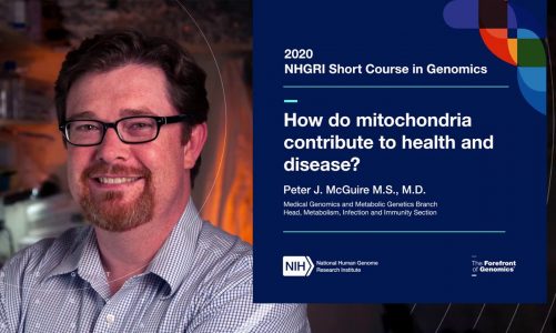 How do mitochondria contribute to health and disease? – Peter McGuire