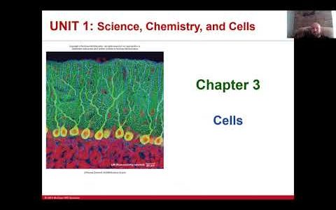 Lecture 5: Cells