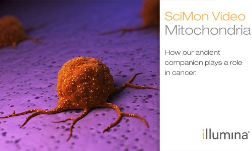 Mitochondria: How our ancient companion plays a role in cancer | Illumina SciMon Video