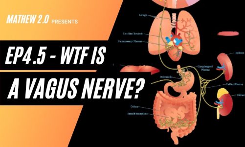 EP 4.5 – WTF IS THE VAGUS NERVE AND #7 WAYS YOU CAN KEEP IT IN CHECK!