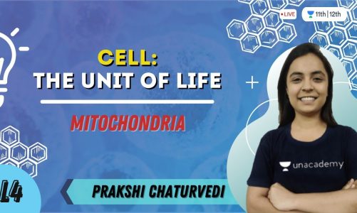 Cell- The Unit of Life | Mitochondria | Biology | Prakshi Chaturvedi