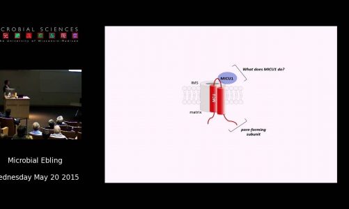 Dr. Vamsi Mootha – Mitochondrial Parts, Pathways, and Pathogenesis