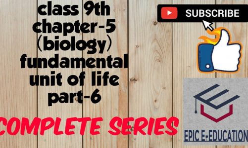 Fundamental units of life (part-6) ch-5 #class 9th science