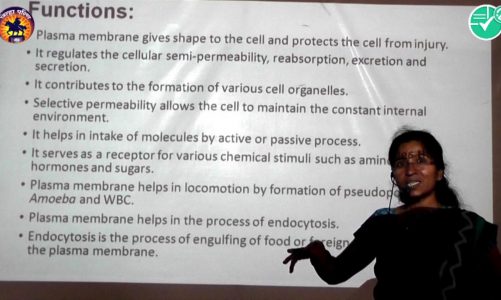 Biology|Ch-9-ORGANIZATION OF CELL|4  Eukaryotic cells |11th | N S SONAWANE