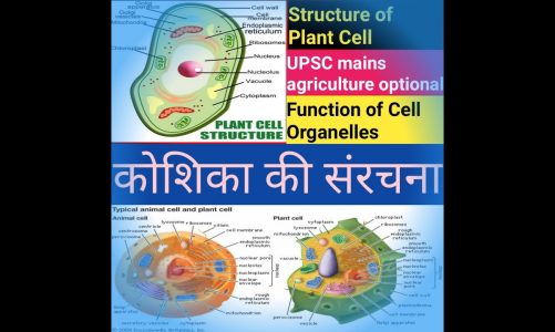 COMPONENTS OF PLANT CELL#CELL STRUCTURE AND FUNCTION#UPSC AGRICULTURE OPTIONAL PAPER -2