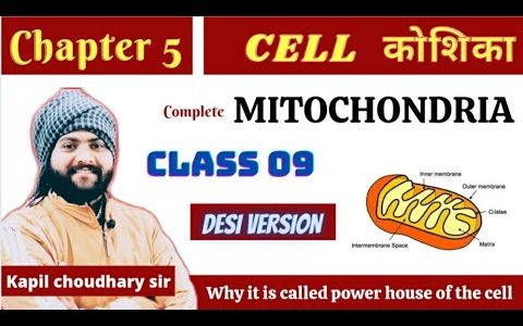 Mitochondria | Mitochondria in Hindi | Class 9 Cell chapter 5 | kapil choudhary sir| InspirallStudy