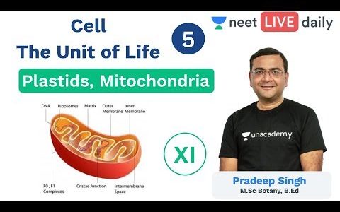 Cell – The Unit of Life | L 5 | Plastids | Mitochondria | Class 11 | Unacademy NEET | Pradeep Sir