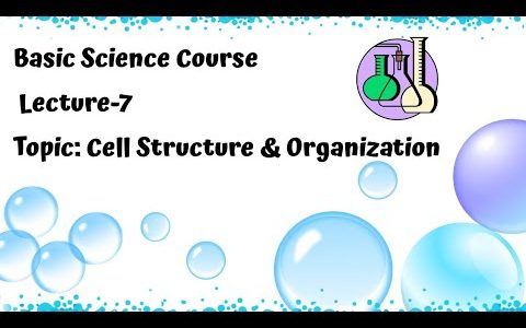 Cell Structure and Organization# Basic Science Course# Lec-7