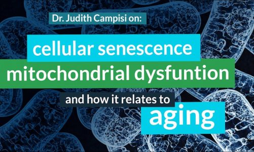 Judith Campisi, Ph.D. on Cellular Senescence, Mitochondrial Dysfunction, Cancer & Aging