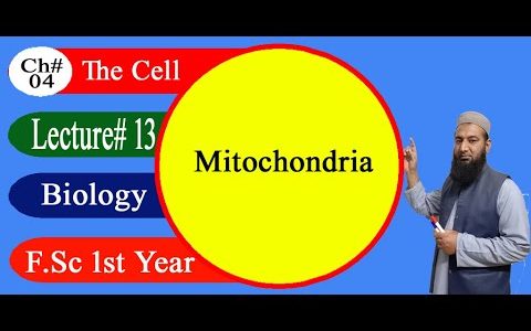 Biology Ch#04-Lecture#13 Mitochondria  (F.Sc 1st Year)