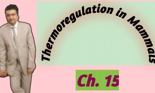 Class 2nd year (Chapter No.15) Lecture No.14. Thermoregulation in mammals, target institute of bio