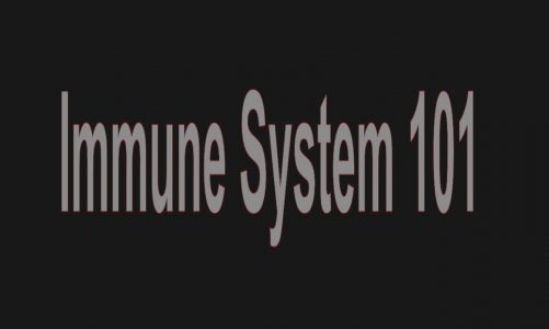 How to Boost The Immune System Leland Stillman MD