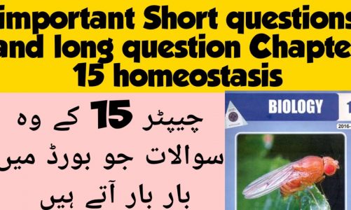 Important Short questions and long questions | Chapter 15 homeostasis | Biology 12th