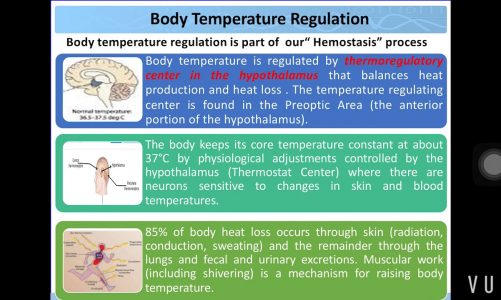 Physiology Lab / Body temperature / Part 1