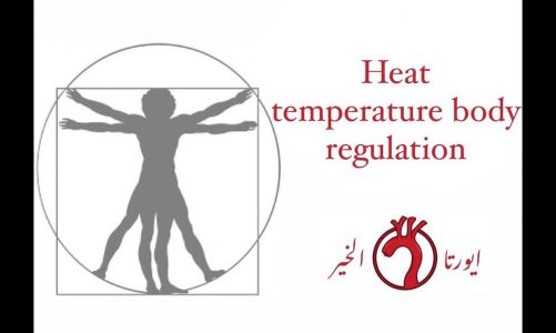 Physiology \ Temperature Body Regulation