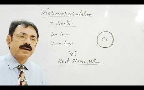 Sub : XII Biology, Ch # 1, Topic: Thermoregulation , Lecture # 9, By prof Yamin Khan Jama