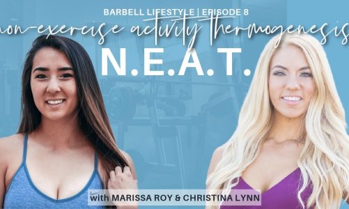 The Barbell Lifestyle Podcast – Ep. 8: NEAT (Non Exercise Activity Thermogenesis)