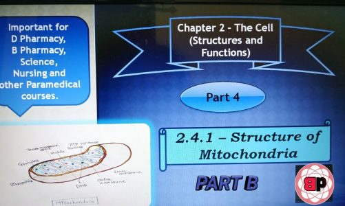 Chapter 2- The Cell (Structure and Functions) / Part 04 / 2.4.1 Structure of Mitochondria / (Part B)