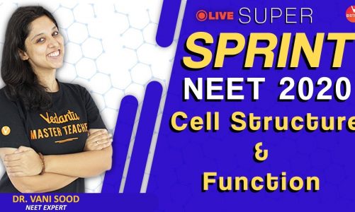 Cell Structure and Their Function | Biology Class 11, NEET & AIIMS | Vani Ma'am| Vedantu VBiotonics