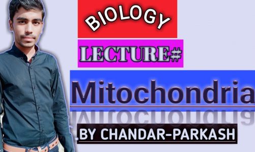 WHAT IS MITOCHONDRIA? STRUCTURE, FUNCTIONS AND PROPERTIES. #BIOLOGY#BYCHANDARPARKASH