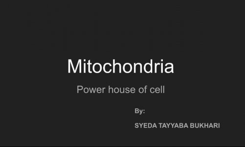 Mitochondria (The Power House of Cell).