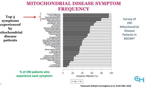 E09.1 Diagnostic Approach Update in Mitochondrial Disease