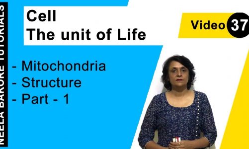 Cell – The Unit of Life – Mitochondria – Structure – Part – 1