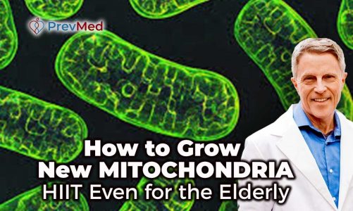 How to Grow New Mitochondria – HIIT Even for the Elderly