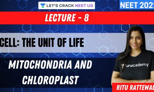 Cell: The Unit of Life – Mitochondria and Chloroplast | NEET 2021 | NEET Biology | Ritu Rattewal
