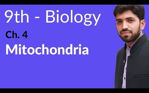 Matric part 1 Biology, Mitochondria Biology – Biology Chapter 4 Cell biology – 9th Class