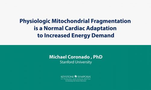 SciTalks: Physiologic Mitochondrial Fragmentation