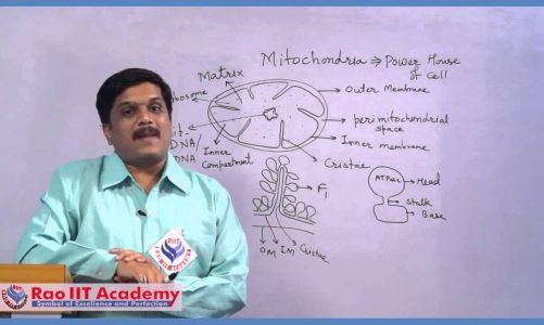 Mitochondria and Chloroplast – NEET AIPMT AIIMS Botany Video Lecture [RAO IIT ACADEMY]