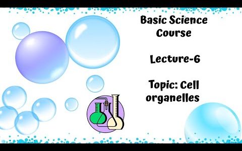Cell Organelles# Basic Science Course# Lec-6