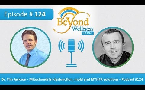 Dr. Tim Jackson – Mitochondrial dysfunction, mold and MTHFR solutions – Podcast #124