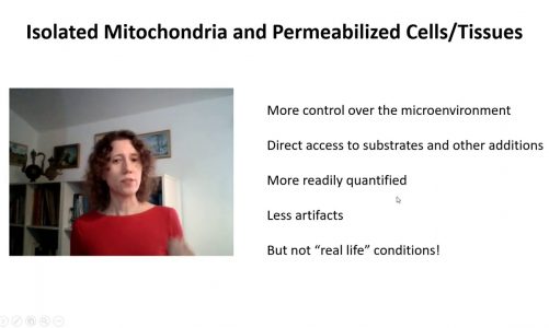 Isolated Mitochondria and Permeabilized Cells/Tissues 1