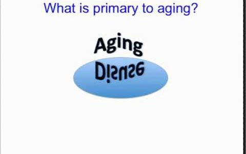 Mitochondrial Energetics in Aging