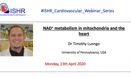 Dr Timothy Luongo – "NAD+ metabolism in mitochondria and the heart"