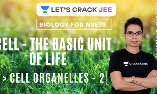 Cell Organelles (Part – 2) | CELL – The Basic Unit Of Life | Biology For NSEJS | Ayushi Chauhan
